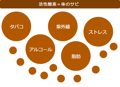 活性酸素＝体のサビ　タバコ　アルコール　紫外線　脂肪　ストレス